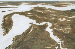 Aerial Marshland II