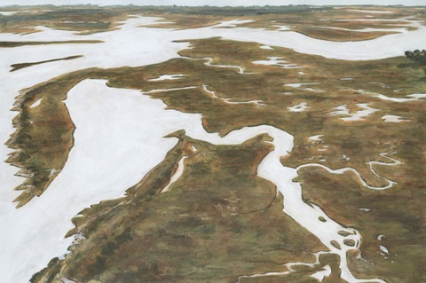 Aerial Marshland II