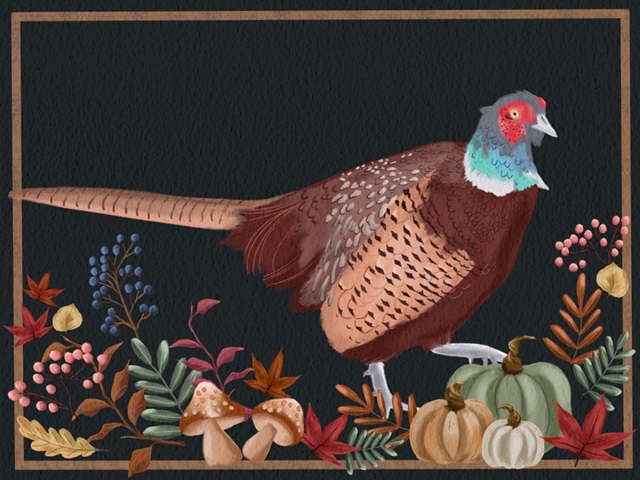 Autumn Pheasant I