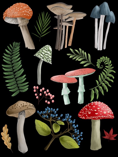 Natural Mushroom Beauties I