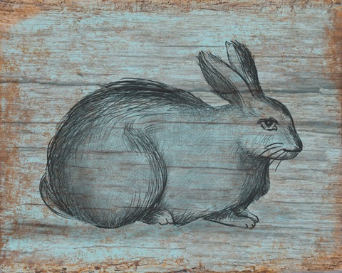 A Rustic Rabbit I