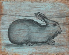 A Rustic Rabbit II