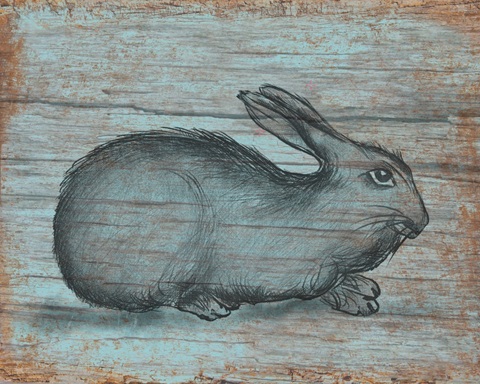 A Rustic Rabbit II