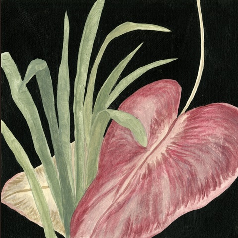 Tropical Leaves on Black IV