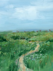 Wildflower Paths II