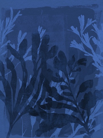 Sapphire Sea Bloom II