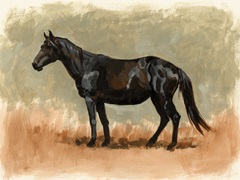 Standing Horse Study II