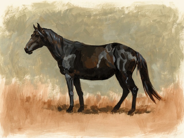 Standing Horse Study II