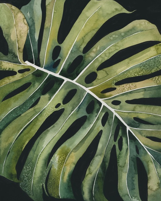 Nocturnal Monstera I