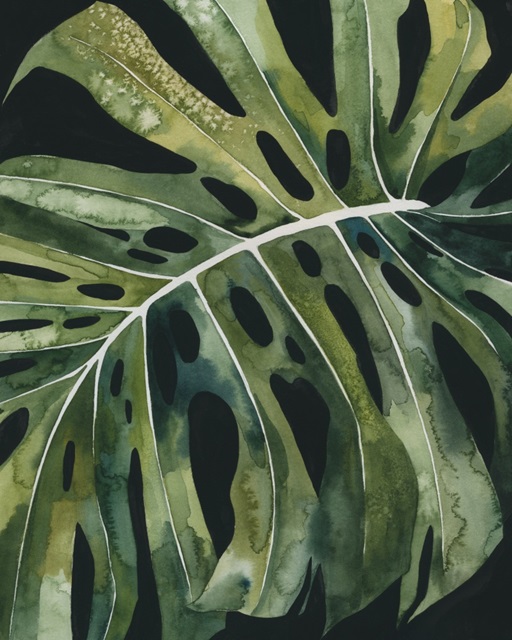 Nocturnal Monstera II