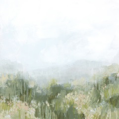 Mountain Meadow View I