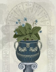 Classical Botanical 4