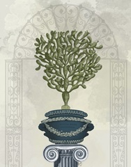 Classical Botanical 5