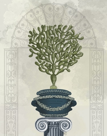 Classical Botanical 5