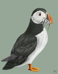 Puffin Lunch