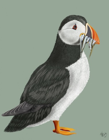 Puffin Lunch