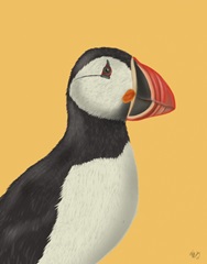 Puffin Portrait 2
