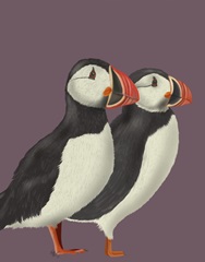 Puffin Pair