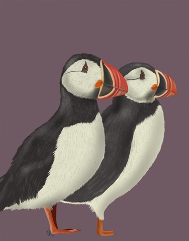 Puffin Pair