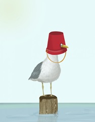Seagull Bucket