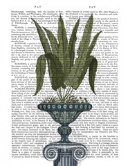 Classical Botanical 1