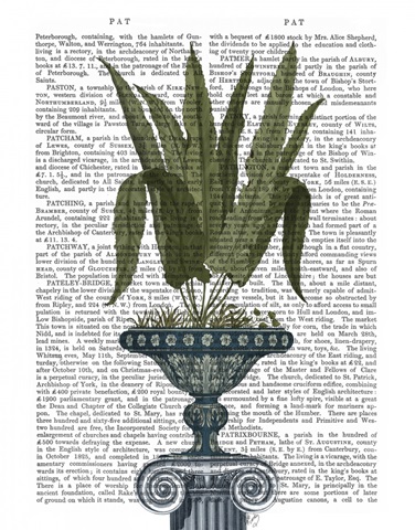 Classical Botanical 1