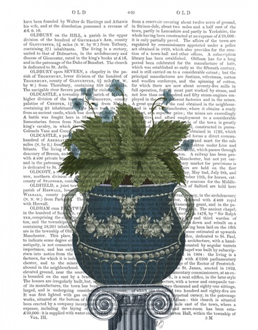 Classical Botanical 4