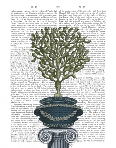 Classical Botanical 5