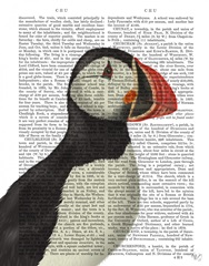 Puffin Portrait 2