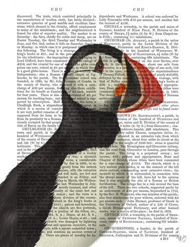 Puffin Portrait 2
