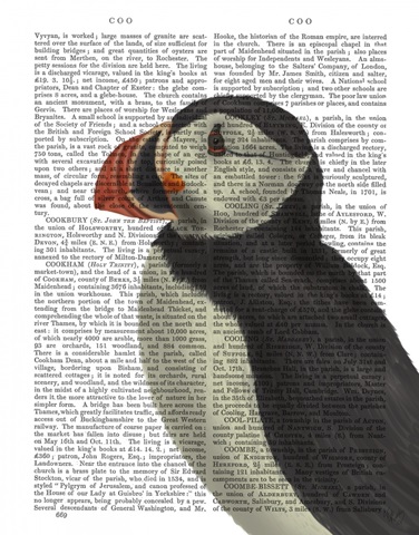 Puffin Portrait 3