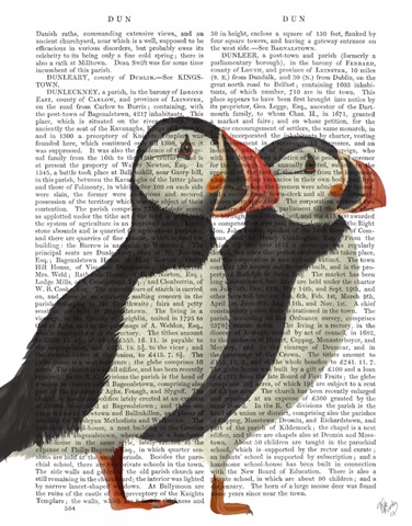 Puffin Pair