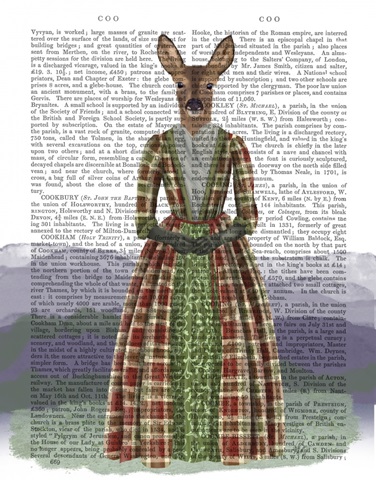 Scottish Deer Countess Glen, Full, Book Print