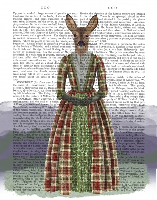 Scottish Deer Countess Glen, Full, Book Print