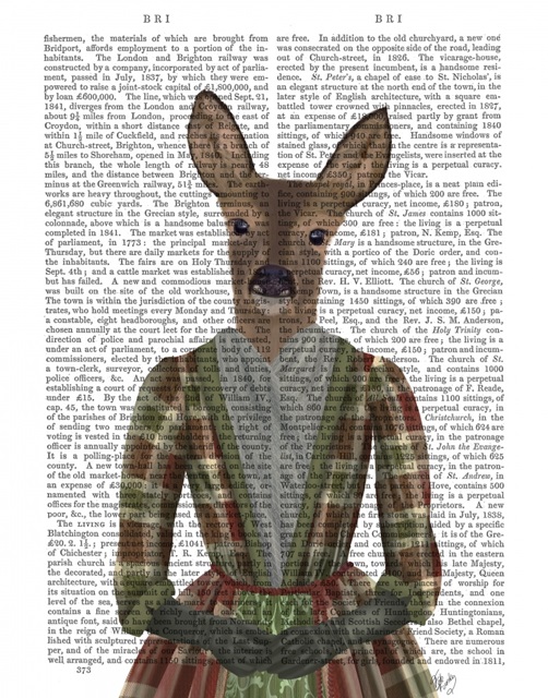 Scottish Deer Countess Glen, Portrait, Book Print