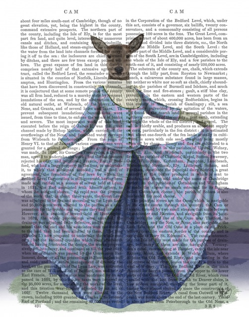 Scottish Deer Lady Bess MacBeth, Full, Book Print