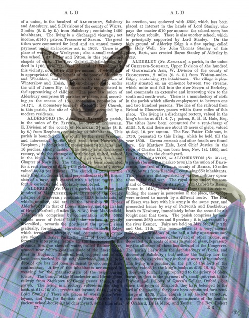 Scottish Deer Lady Bess MacBeth, Portrait, Book Print
