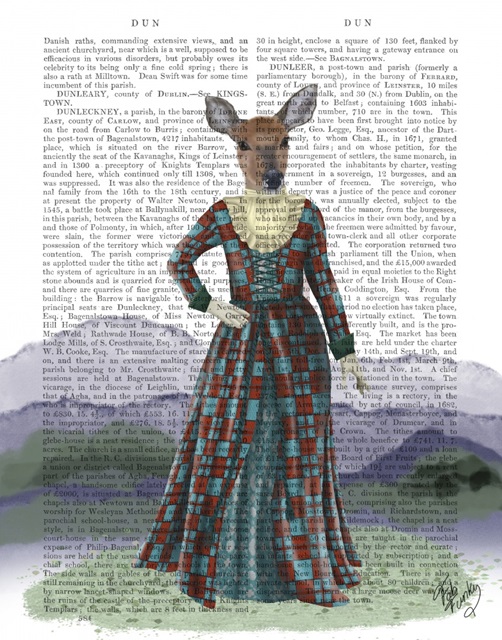 Scottish Deer Lady Elspeth, Full, Book Print