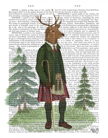 Scottish Deer Alistair McStag, Full, Book Print