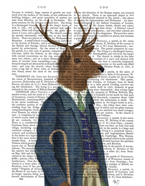 Scottish Deer Alistair McStag, Portrait, Book Print