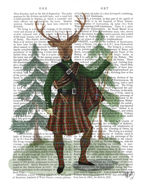 Scottish Deer Major Malcolm, Full, Book Print