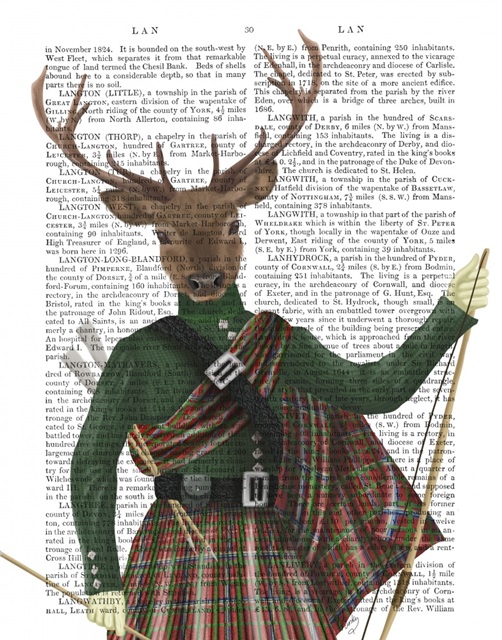 Scottish Deer Major Malcolm, Portrait, Book Print