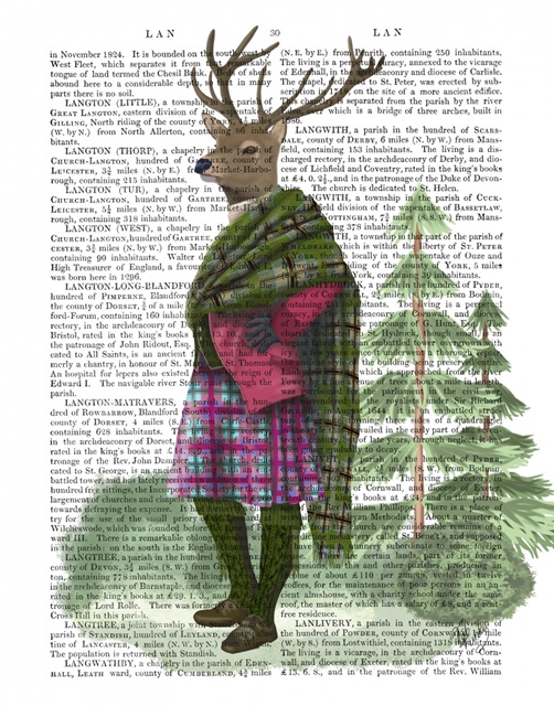 Scottish Deer Sir Shuggy Campbell, Full, Book Print