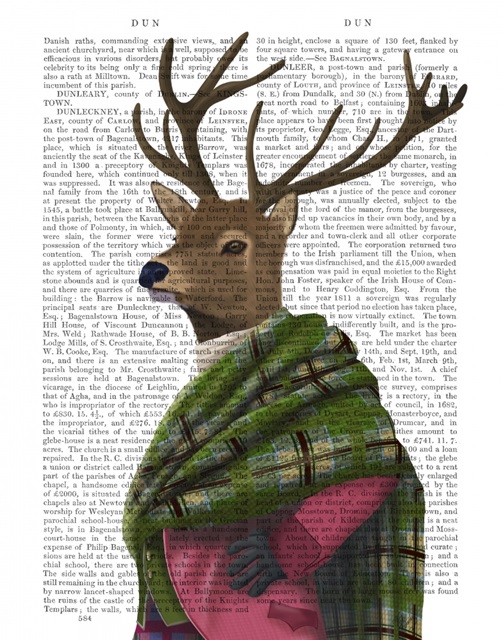 Scottish Deer Sir Shuggy Campbell, Portrait, Book Print
