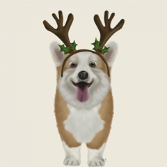 Corgi Christmas Antlers