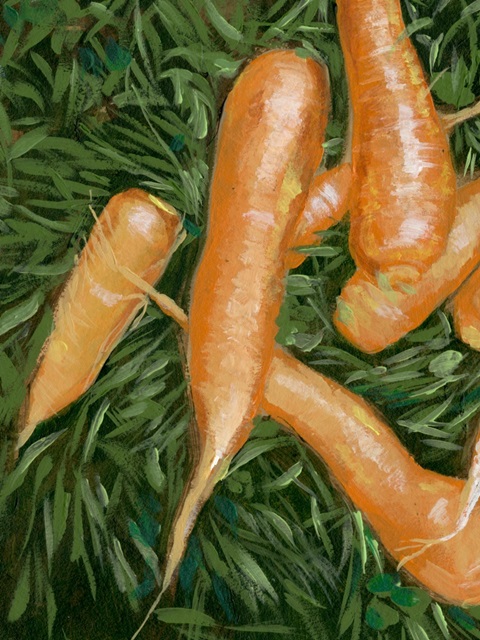 Carrots I