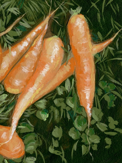 Carrots II