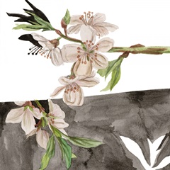 Summer Cherry Blossom IV