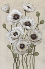 Tall White Poppies I