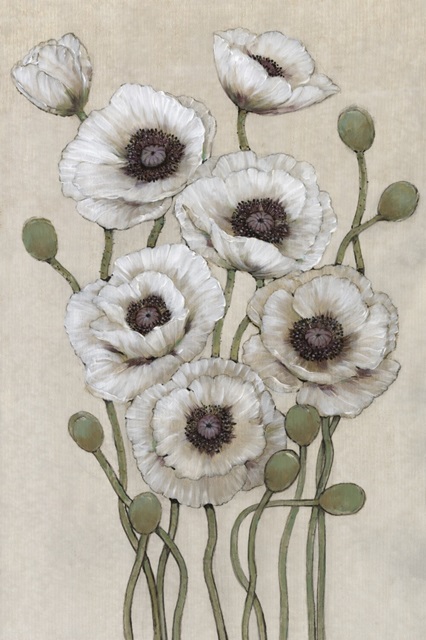 Tall White Poppies I